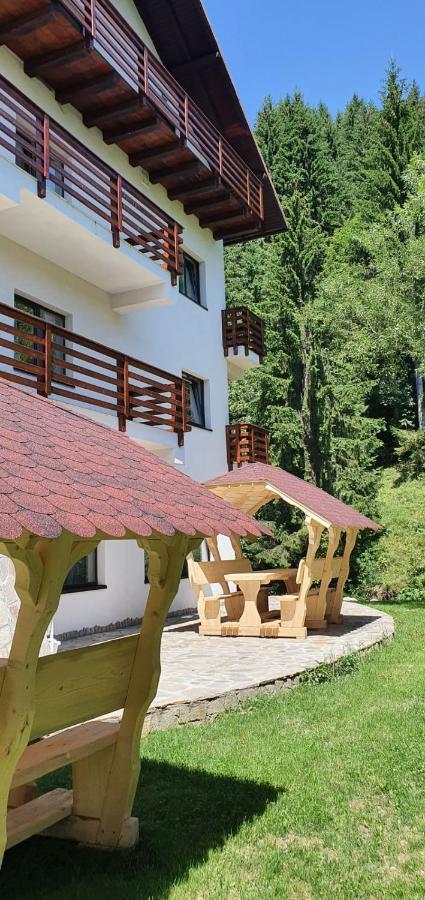 Hotel Alegria - Moieciu De Sus Moeciu De Sus Exteriér fotografie