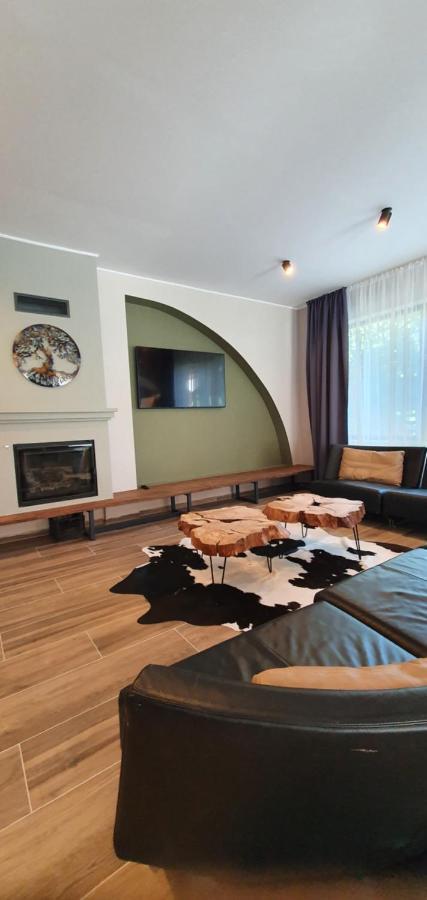 Hotel Alegria - Moieciu De Sus Moeciu De Sus Exteriér fotografie