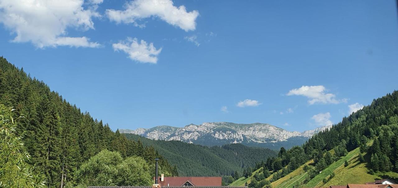 Hotel Alegria - Moieciu De Sus Moeciu De Sus Exteriér fotografie