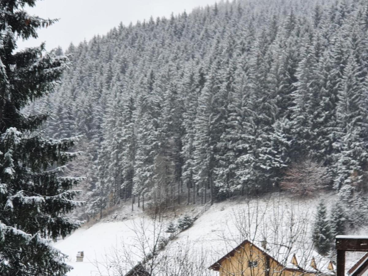 Hotel Alegria - Moieciu De Sus Moeciu De Sus Exteriér fotografie