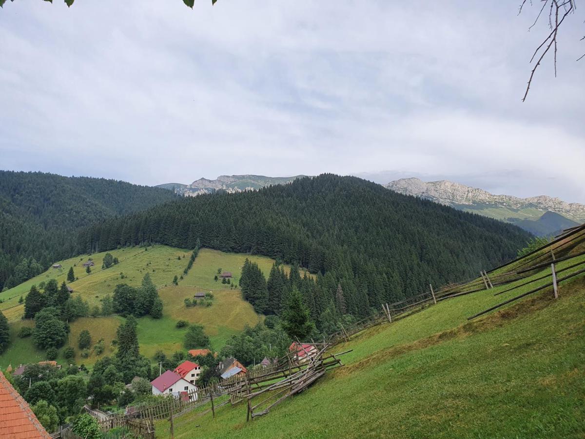 Hotel Alegria - Moieciu De Sus Moeciu De Sus Exteriér fotografie