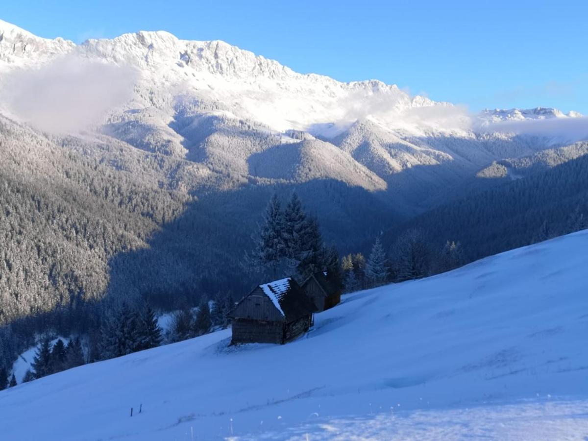 Hotel Alegria - Moieciu De Sus Moeciu De Sus Exteriér fotografie