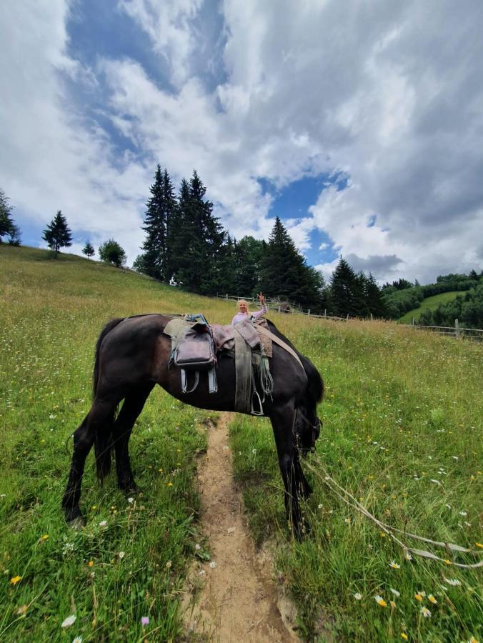 Hotel Alegria - Moieciu De Sus Moeciu De Sus Exteriér fotografie