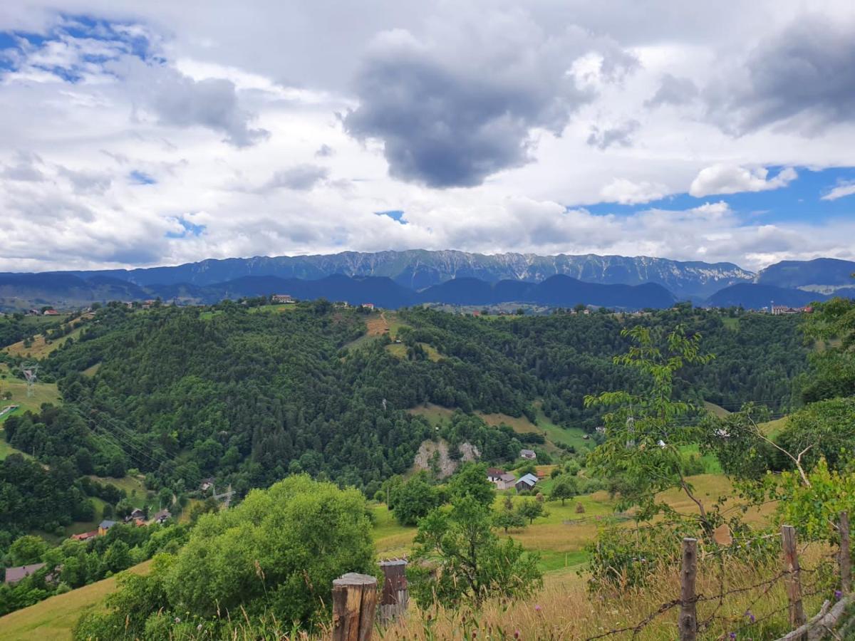 Hotel Alegria - Moieciu De Sus Moeciu De Sus Exteriér fotografie