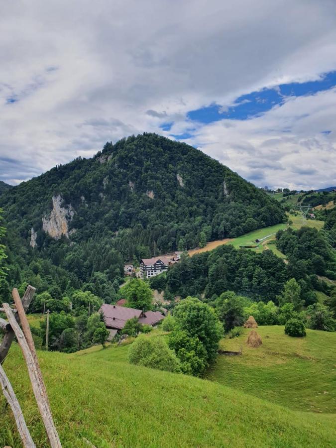 Hotel Alegria - Moieciu De Sus Moeciu De Sus Exteriér fotografie
