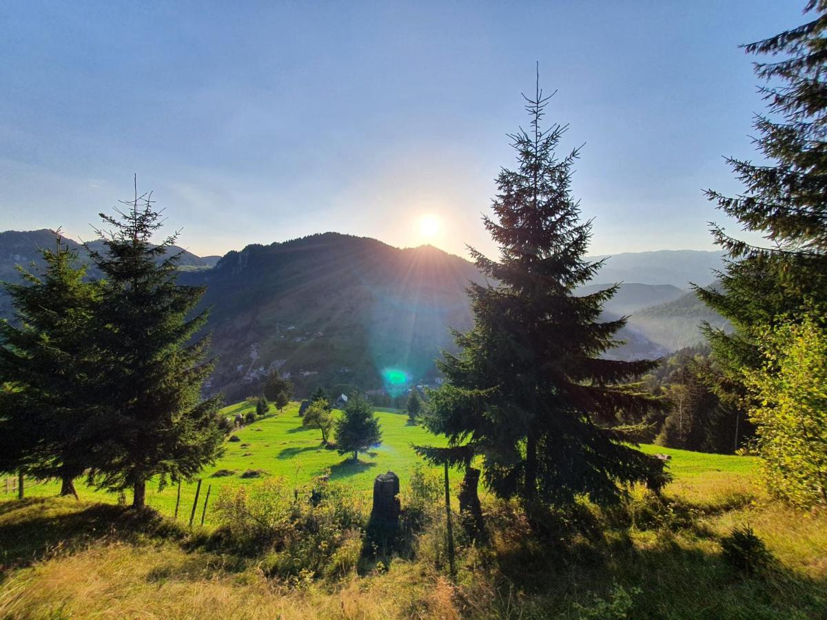 Hotel Alegria - Moieciu De Sus Moeciu De Sus Exteriér fotografie