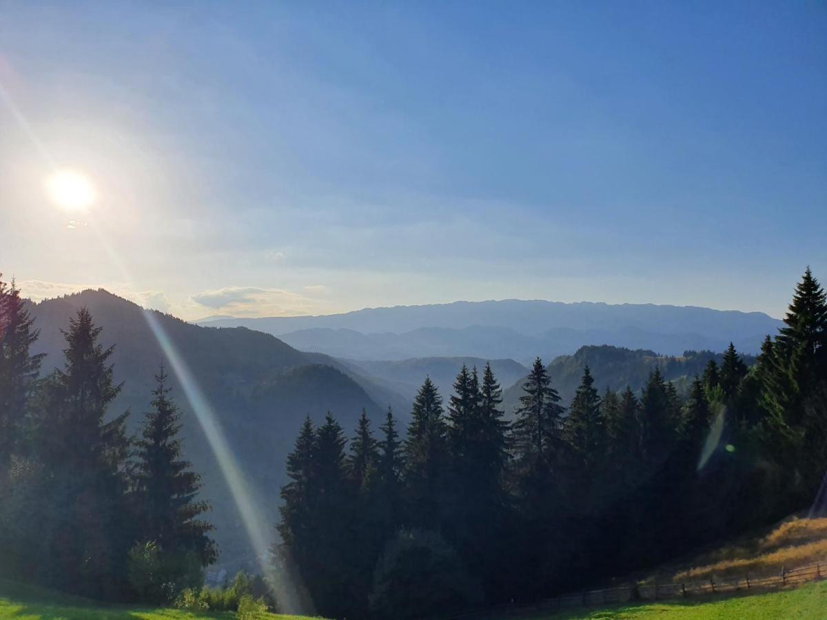 Hotel Alegria - Moieciu De Sus Moeciu De Sus Exteriér fotografie