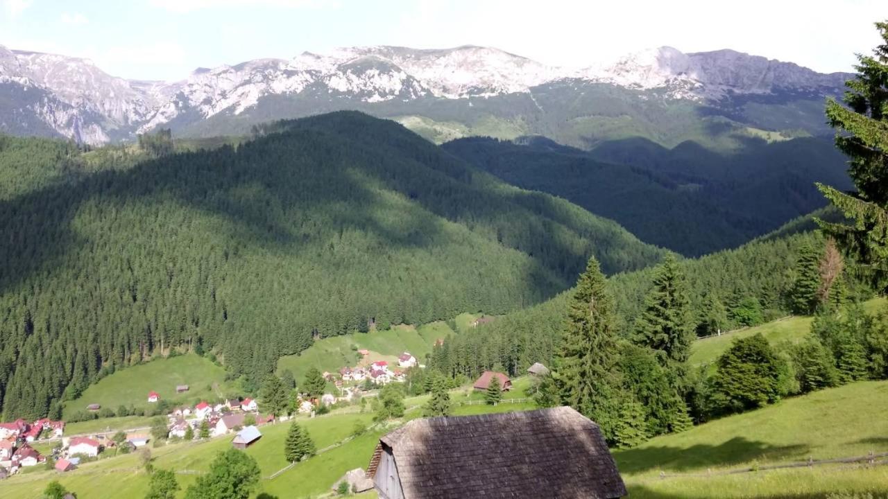 Hotel Alegria - Moieciu De Sus Moeciu De Sus Exteriér fotografie